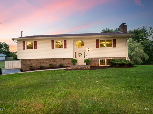 110 Wellington Ct, Gray, TN 37615