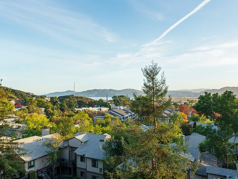 Larkspur Courts — Photo 15