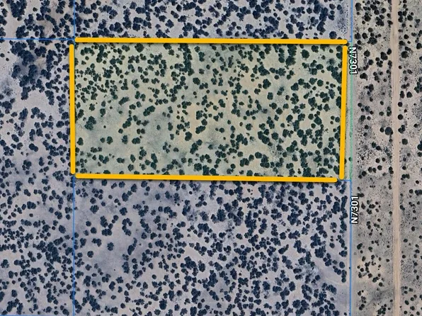 TBD 20 Acres in Witch Wells -- #63, St Johns, AZ 85936