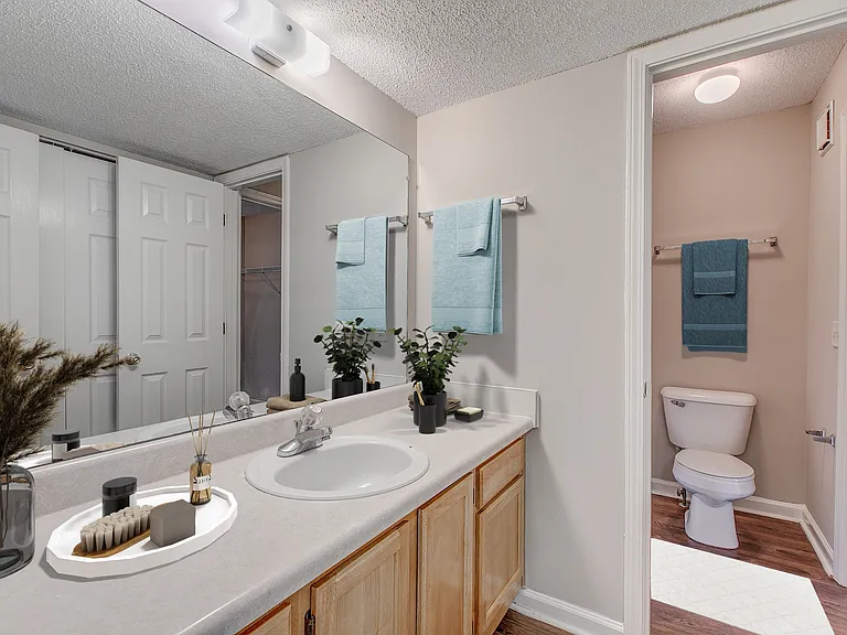 Double Sink + Vanity