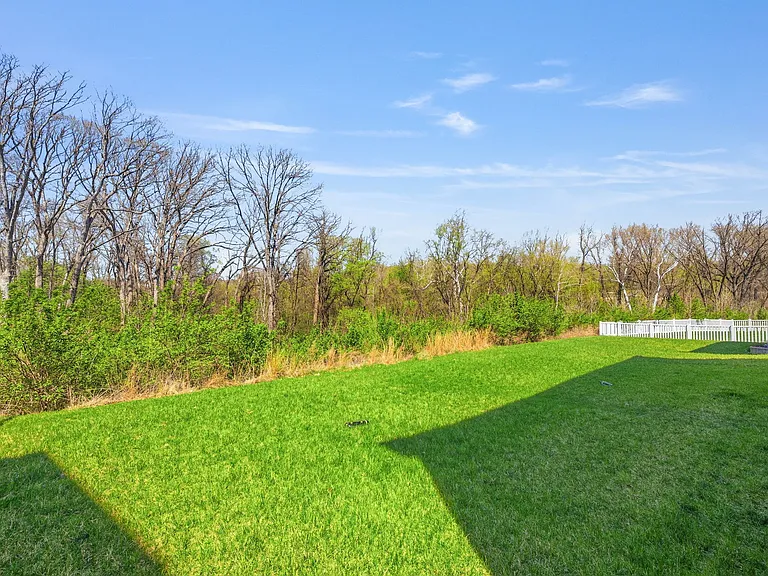 463 Dusty Brook Drive Ct — Photo 58