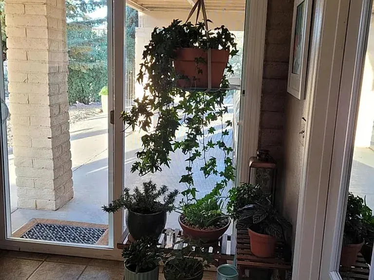 608 La Paloma Ln — Photo 8