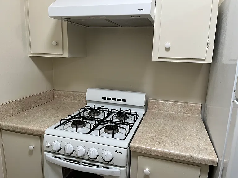 Kitchen in the downstairs Large 1BR units. All gas stove and oven.