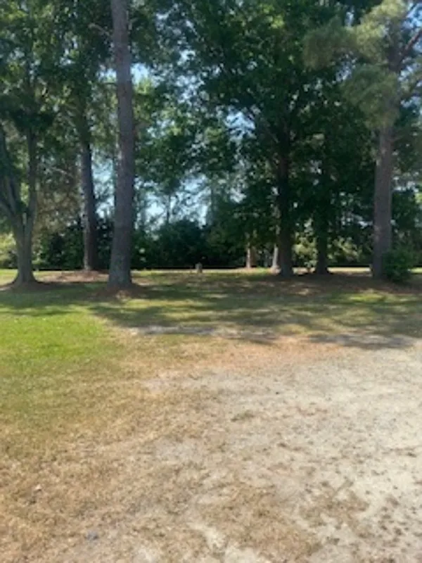 Rosewood — Photo 1