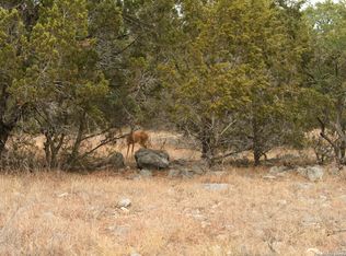 1225 Mystic Shores Blvd #1917, Spring Branch, TX 78070