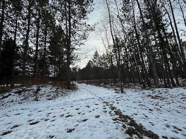 1st image of 80A County Road 131