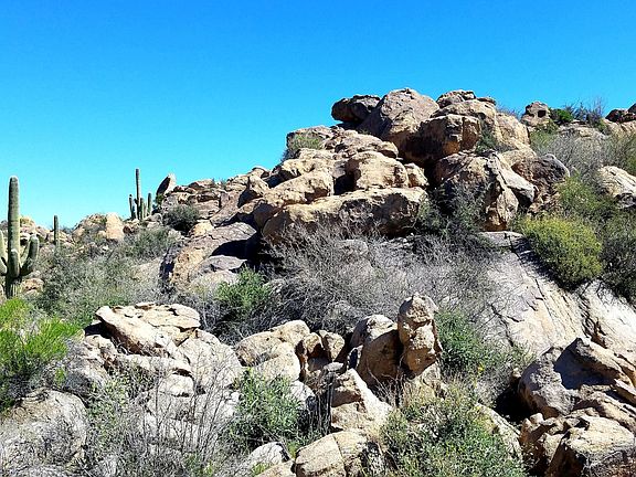 4th image of 1481 W Tortolita Mountain Cir #281