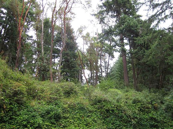 3rd image of 8008 26th Ave NW