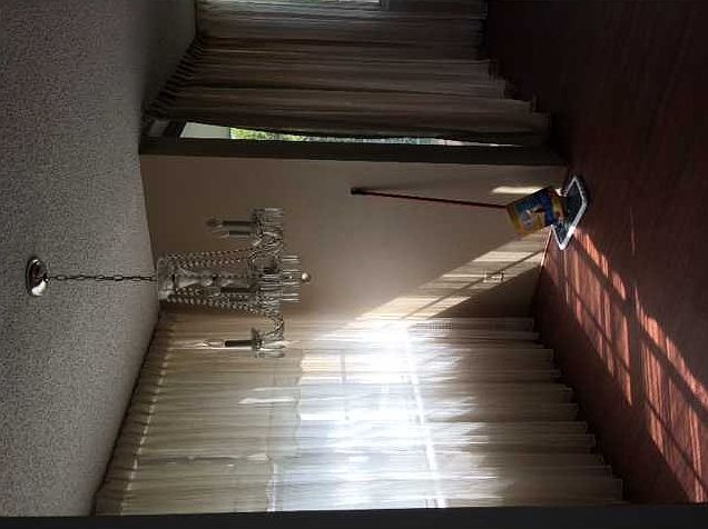 2nd image of 2761 Taft St APT 304