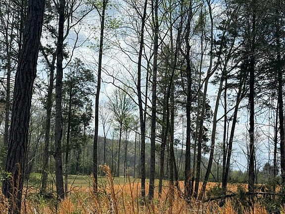 5th image of Calico Rd
