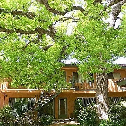 Casa Del Rey Apartments — Photo 4