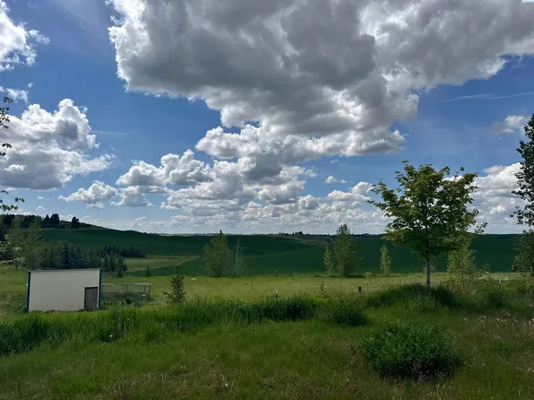 1091 Sunshine Rd, Pullman, WA 99163