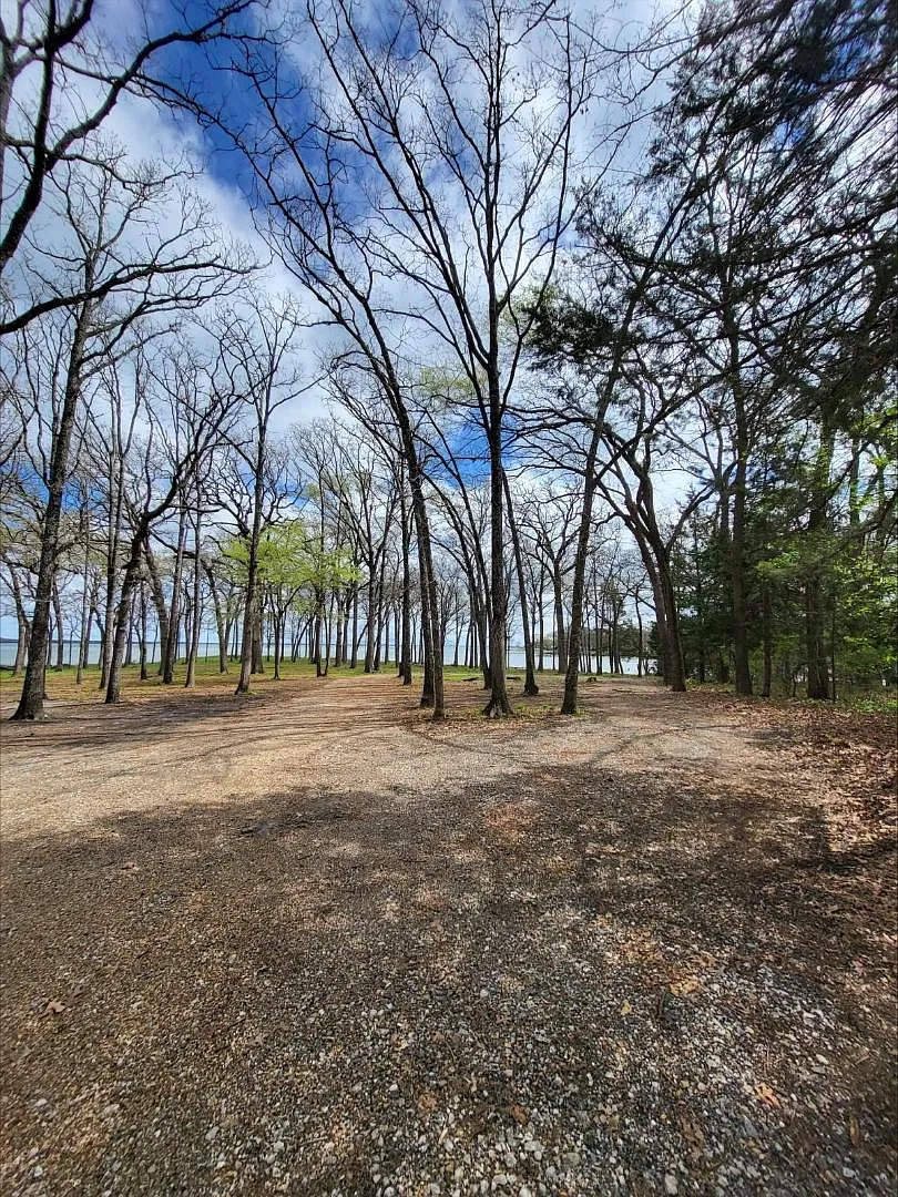 10081 Jacobs Lane — Photo 3