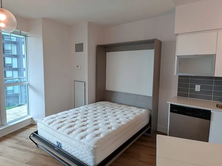 150 E Liberty St #1309 — Photo 11
