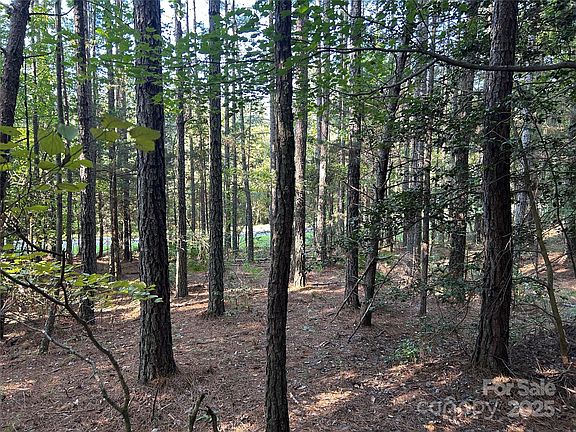 3rd image of 0 Old Morganton Rd