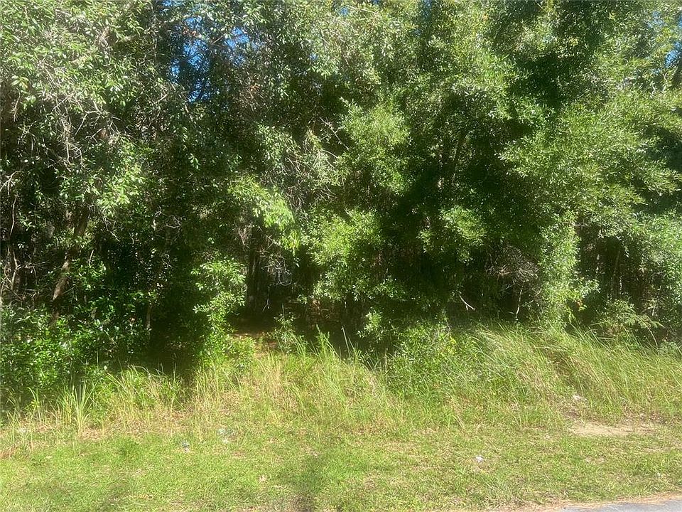 1st image of 39 Pine Cir #13