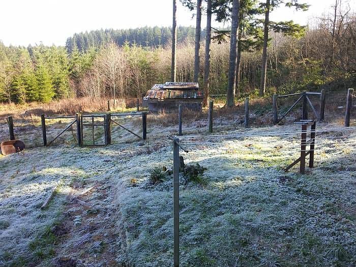Back yard - goat barn