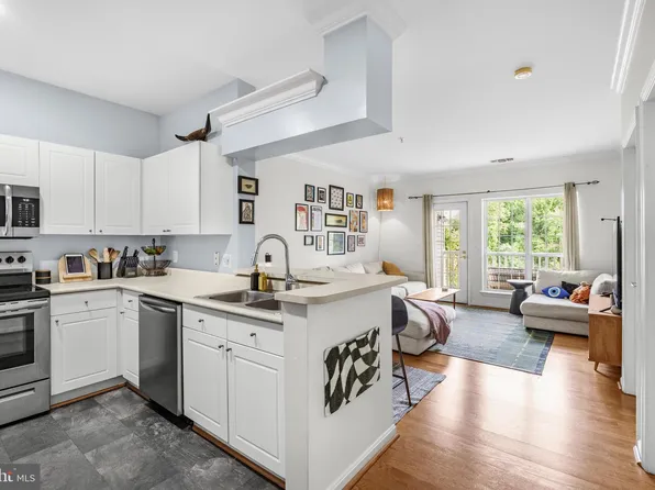 4550 Strutfield Ln APT 2207, Alexandria, VA 22311