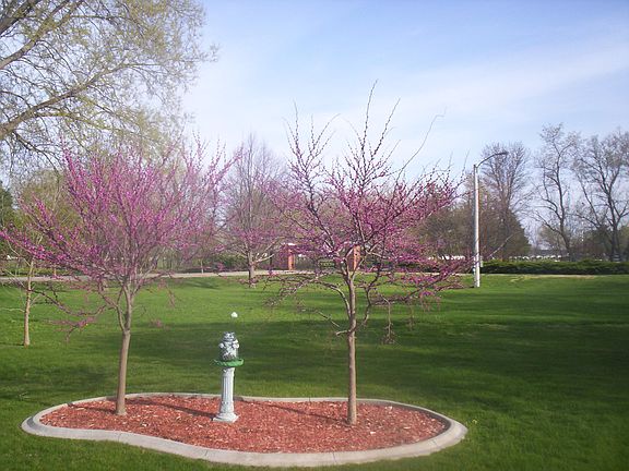 Golf Course View to South