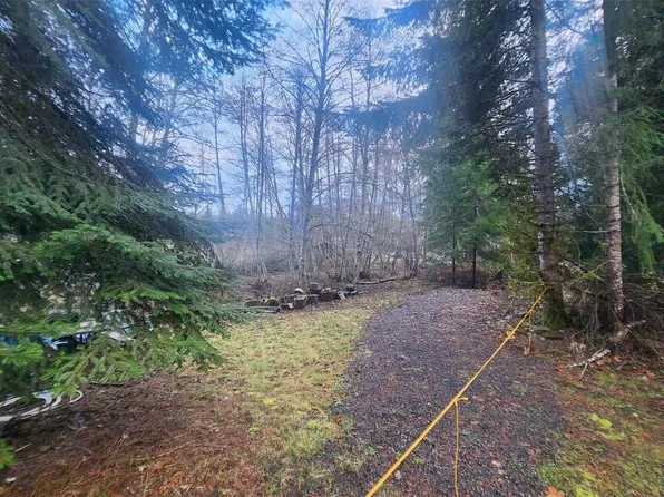 0 Rainbow Place, Packwood, WA 98361