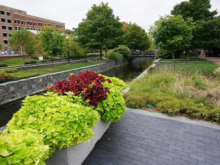 Access point from the property to Carroll Creek, just a few steps away.