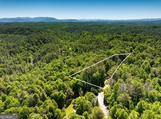 0 Roaring Forks Ln, Ellijay, GA 30540