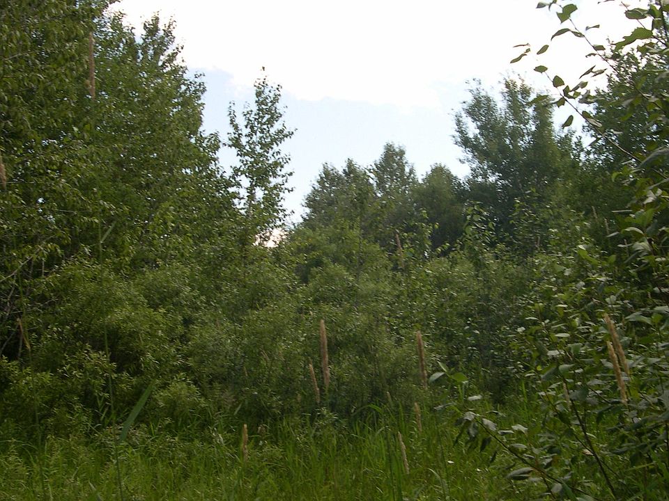 2nd image of W Ave. S. South Of Ditch Side 5th
