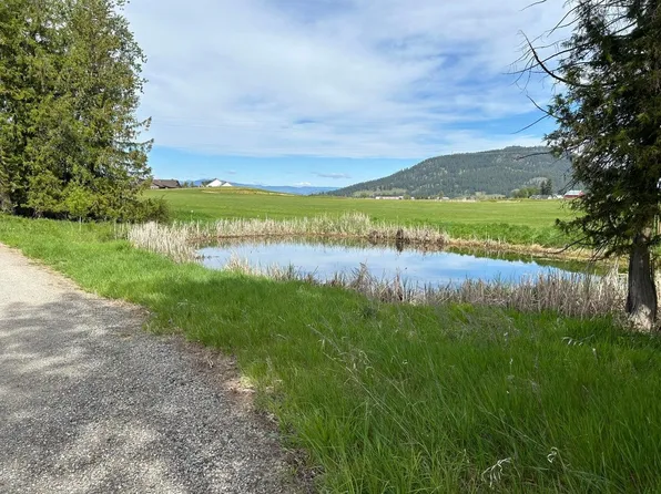 2135 White Tail Way, Colville, WA 99114