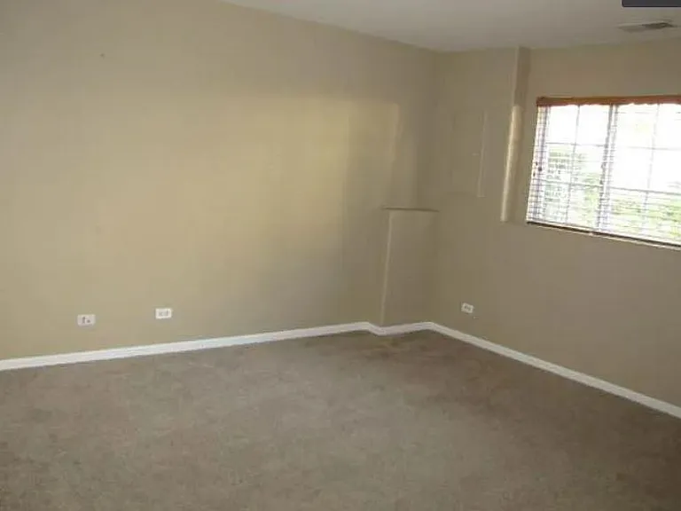 927 Pheasant Trl — Photo 12