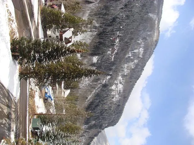 4295 Columbine Dr #17 — Photo 7