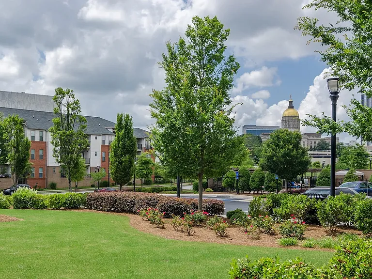 A beautiful view on the beautiful greenery