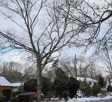 Exterior Neighborhood (street photo)