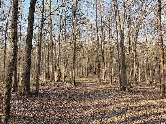 23rd image of this home