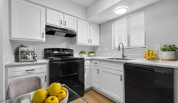 Rock Ridge Commons — Photo 14