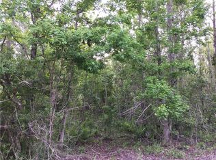 S Volusia Ave W, Pierson, FL 32180