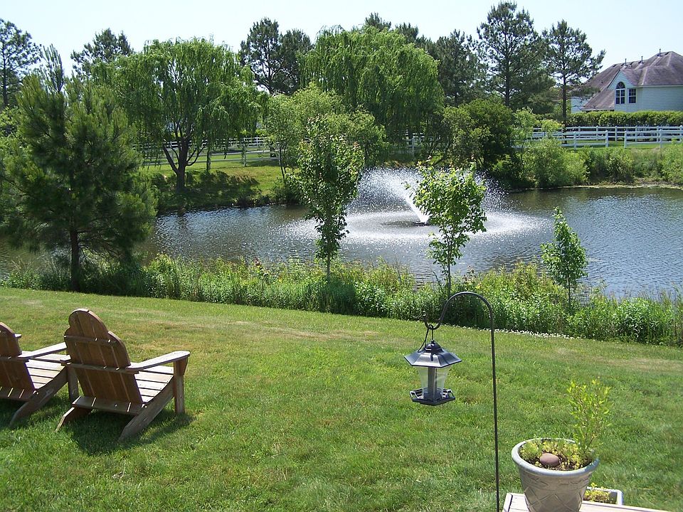 Lakeside view