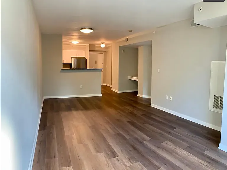 1000 New Jersey Ave SE #209 — Photo 6