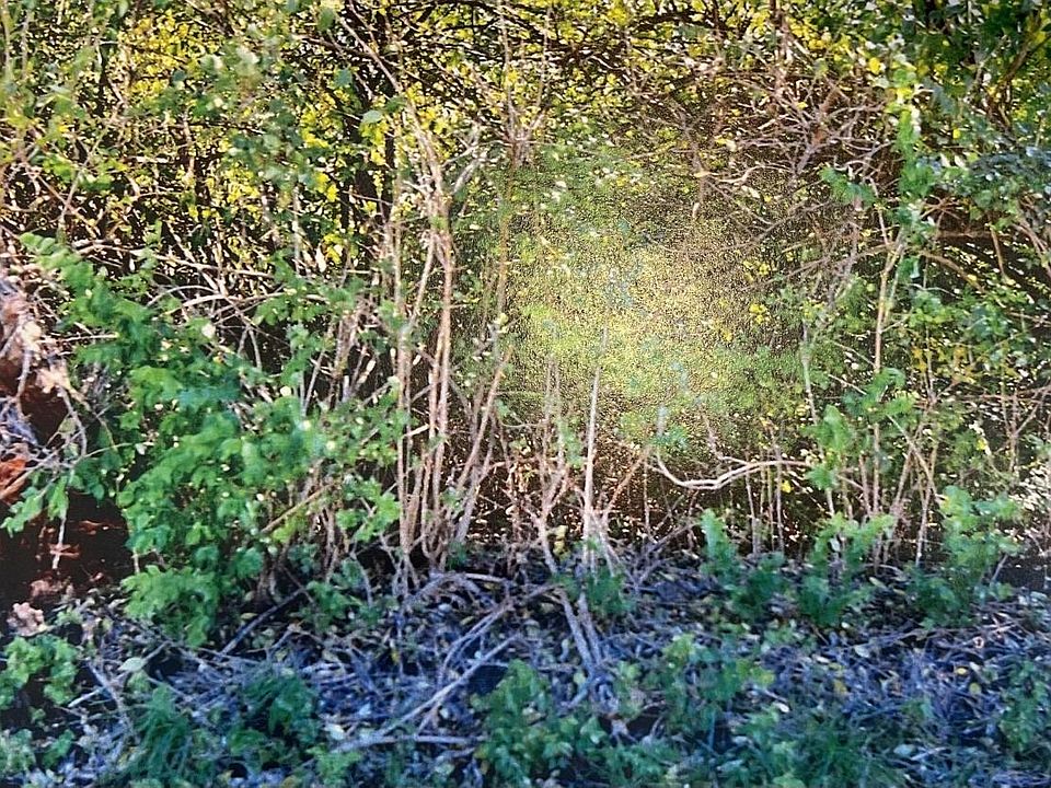 1st image of Germantown Pike