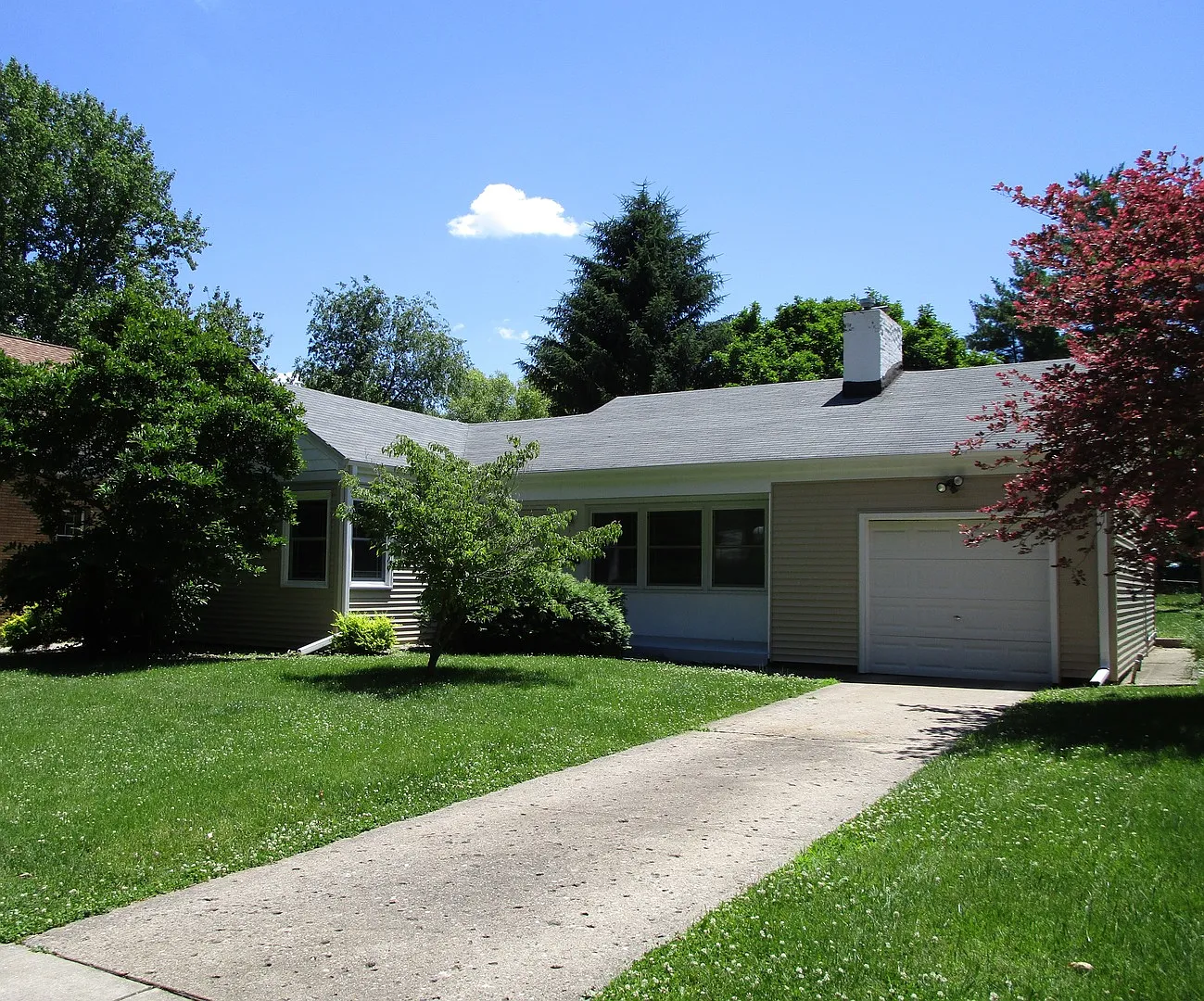 1005 W White St photo 1