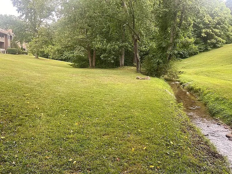 Willow Tree Run — Photo 9