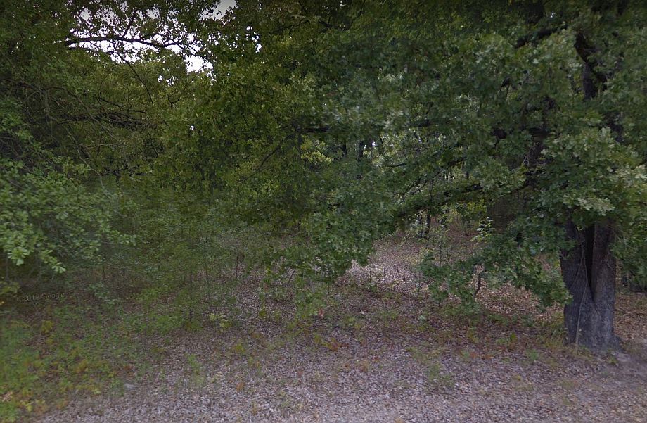 0000 Cordoba St, Payne Springs, TX 75156 Zillow