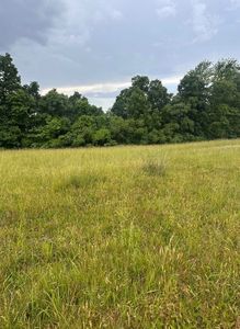 6800 Smith Grove Rd, Burkesville, KY, 42717