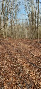 0 Hickory Hollow Sub Rd UNIT 13, Tracy City, TN, 37387