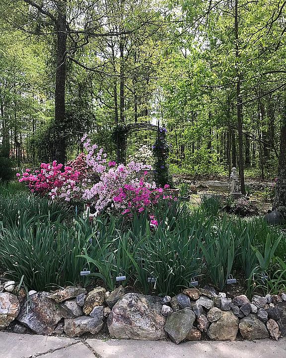 2nd image of 234 Woodland Way