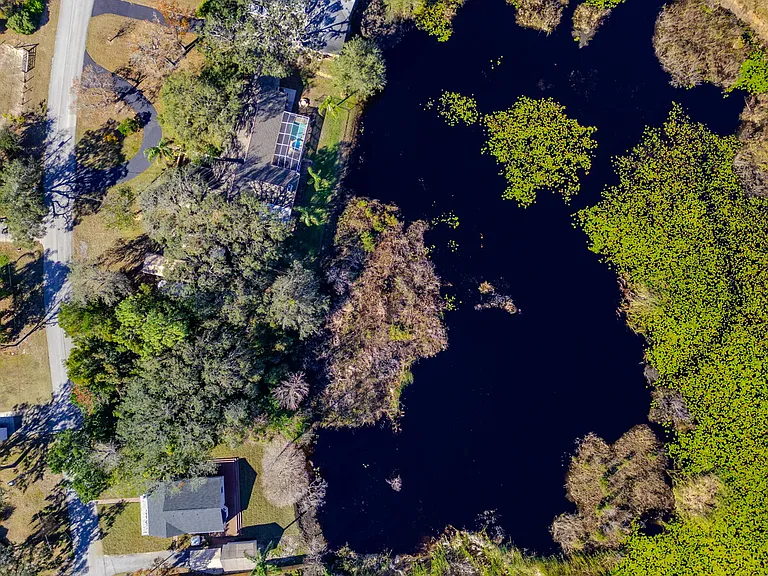 11416 Pine Forest Dr — Photo 43