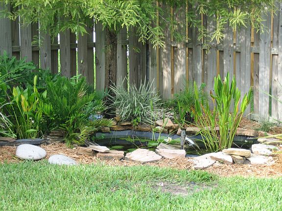 Pond in backyard