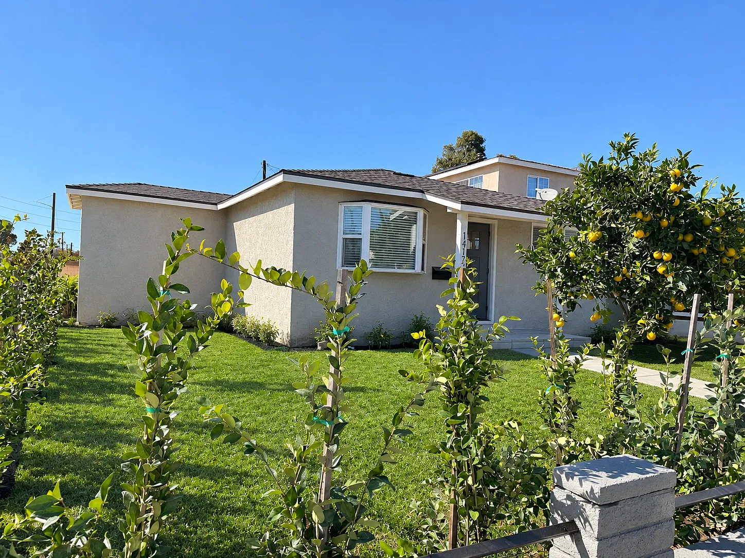 2 bed, 800 sqft, $3,500 — Photo 2