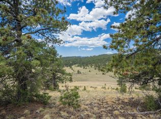 LOT 25A Julia Rd, Guffey, CO 80820