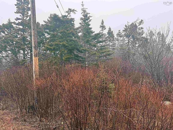 4th image of Forbes Point Rd Lot 2