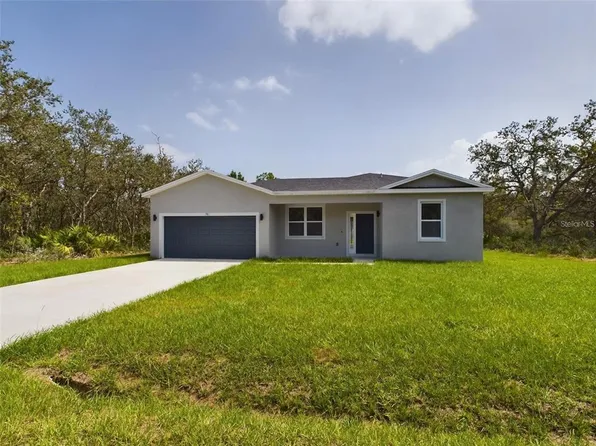 104 Malauka Pass, Ocklawaha, FL 32179